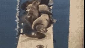 برید کنار اومدم