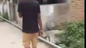 بعضیها بیشعوری تو وجودشونه  اخه به اون حیون چیکار داری 