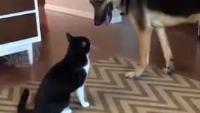 بسه دیگه،آشتی؟ باشه آشتی