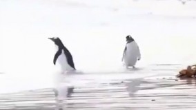 وقتی توی دریا پات میره روی یه چیزی که نمیدونی چیه