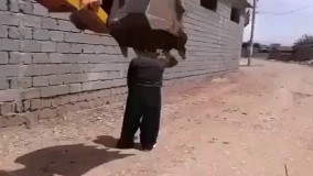 خاراندن کمر با ...