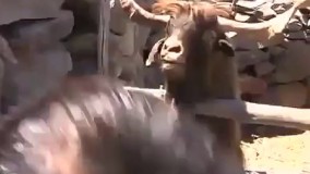 وقتی داری با معلمت حرف میزنی