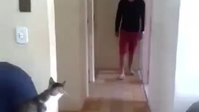  چاکر داداش ..  - مخلصیم بزن قدش