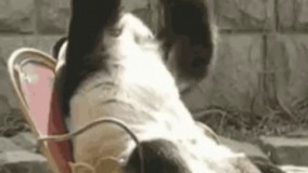 وقتی بعد از کلی کار روی پروژه یادت میره save ش کنی