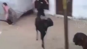 تابلو بود فقط با این خصومت شخصی داشت