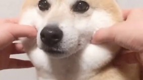 لپووووووووووووو