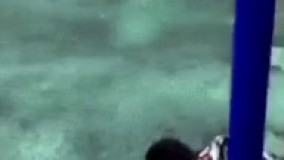 ضایع شد رفت پی کارش 