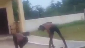 خنده دار ترین مسابقه شنا روی چمن