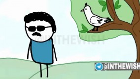 کفتر کاکل به سر های های