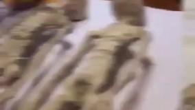 مومیایی بیگانه ای که در نازاکا پرو کشف شده در زیر اشعه ایکس مشخص شده فقط یک استخوان ساعد دارد و نوع ماده اش سه تخم در بدن دارد. دست سه انگشتی دارد.