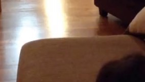 اشتباه محاسباتی