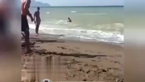 کل خاطرات من از تابستون         و شمال و کلاً همه چى