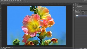 آموزش اکشن فتوشاپ تبدیل تصاویر به نقاشی آبرنگی هنری
