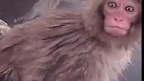  عاااالی بود 