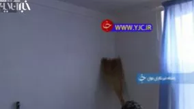 وقتی تار عنکبوت بوم نقاشی می‌شود