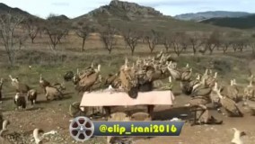  تصوری که عروس و دوماد از      مهمونا تو شب مجلسشون دارن