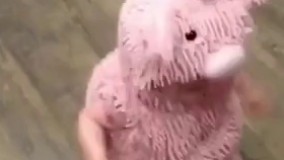 ‎این جیگر نیست پس چیه