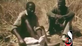 برای بدست اوردن گوشت در آفریقا خودشون رو طعمه مار پیتون میکنن