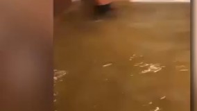 ماهیگیری داخل اطاق تو خانه ات...تو این اضاع خراب طوفان تگزاس کسانی هم هستند با اینکه همه چیز رو از دست دادن اما روحیه خودشون رو از دست ندادن و از شرایط سختشون هم لذت میبرند. ????