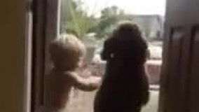 قشنگترین ذوق تاریخ یعنی این 