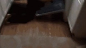 وقتی خانم ها تصمیم میگیرن ورزش کنن