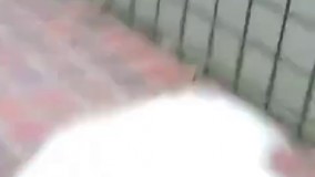 انقدر خوشحاله نمیدونه داره میره یا داره میاد