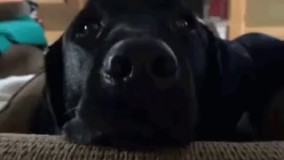 وقتی دراز خوابیدی جلو تلویزیون و یهو یکی از روت ردمیشه