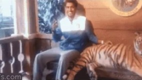 مثلا داشت خودشو بیخیال و عادی نشون میداد