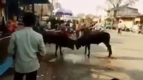 هیچ وقت تو دعوای زن و شوهری دخالت نکنید 