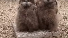 به زودی تو کلاس وقتی تخته رُ درست نمیبینی