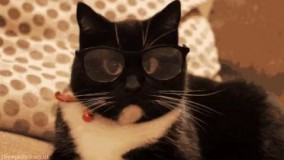 مراقبای امتحانات بیشترشون این شکلی هستن