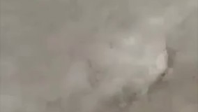 مجبوری مگه اوسکل