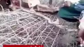 تعداد مسلمانان کشته شده در میانمار بیش از4000 نفر هست