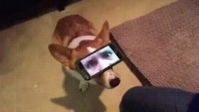 خیلی باحاله 