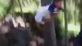 تفاوت بین دختر و پسر