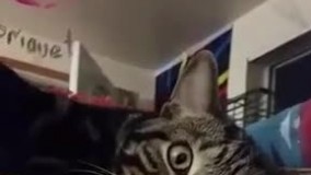 وقتی میری تو رختخواب و تازه یادت میفته فراموش کردی تمرین ها رو انجام بدی