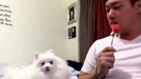 وقتی ی دختر بهت نگاه می کنه اما نمیخواد بفهمی 