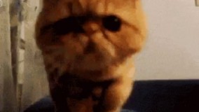 اعصاب ندارم داداچ  آتیش داری 