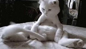 کنترل دُمم دست کیه