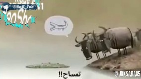 دوبله فقط ترکی