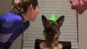 گیرِ چه احمق هایی افتادم خاصی تو نگاهِ سگه هست 