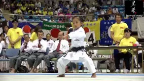 Interesting karate2 - Kata - Enpi