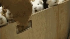 وقتی زنگ آخر میخوره