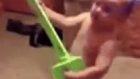 گیتار برقی رو از پارو های پلاستیکی شروع کرده.