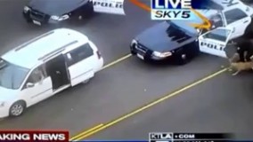 سگ پلیس حرفه ای