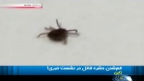گم‌شدن حشره قاتل در نشست خبری!