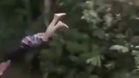 از خوبای شیرجه :))))