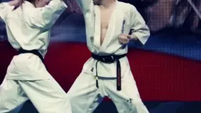 Karate - Tameshiwari