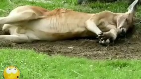 تعطیلات خود را چگونه گذراندید