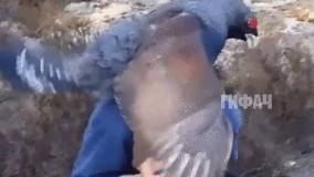 شکار لحظه ها